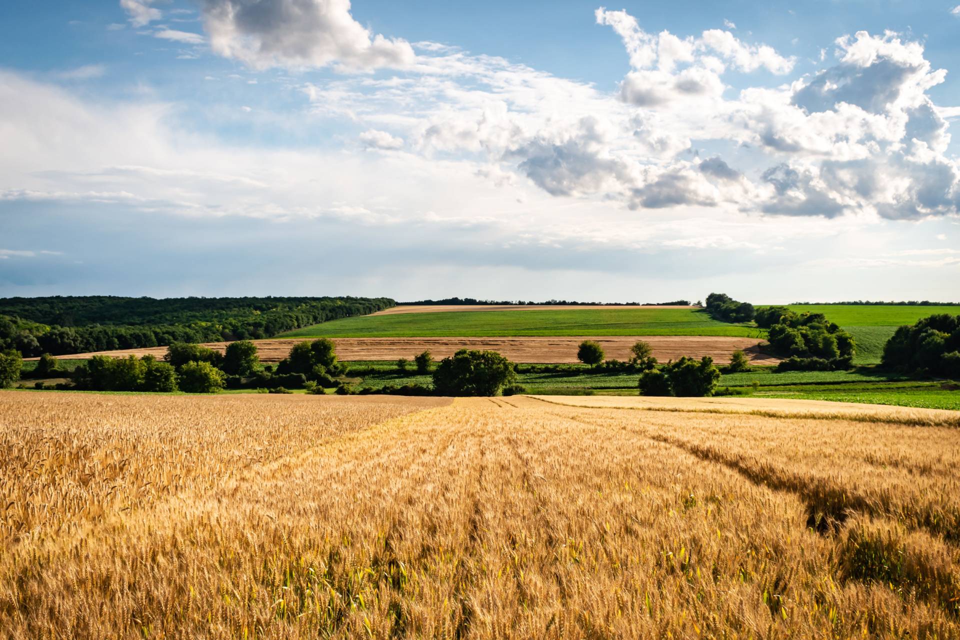 Practical advice for a changing rural economy Rural business