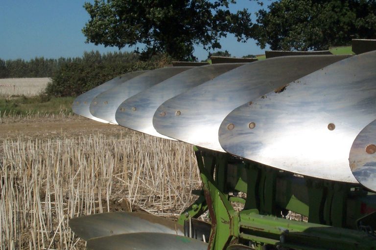 The Future of Agriculture: new opportunities in the rural sector