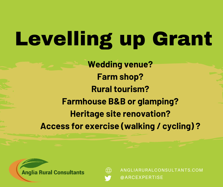 Information on the levelling up grant