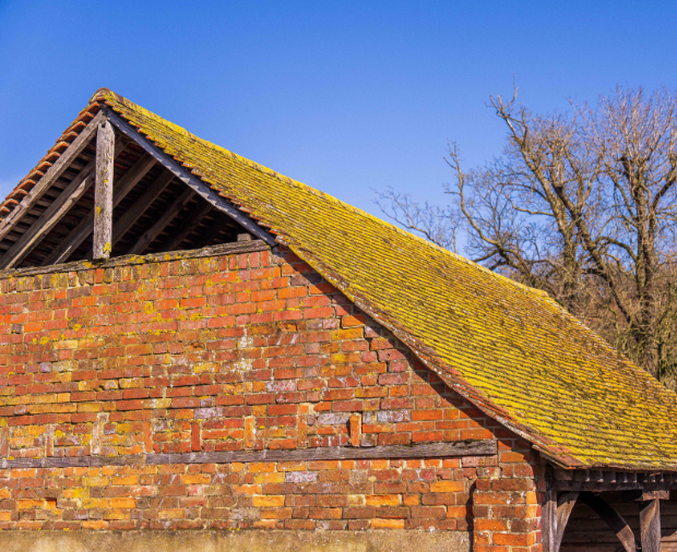 Barns to Brews Case Study Post Preview