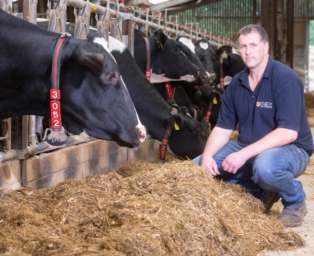Anaerobic Digestion Project Case Study Post Preview