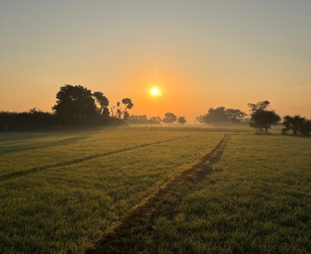 England Rural Development Programme Case Study Post Preview
