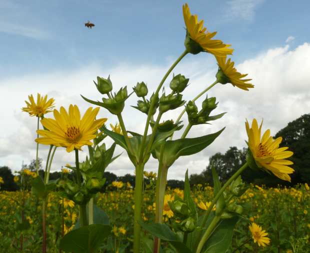 Farm Environment Planning Insight Post Review