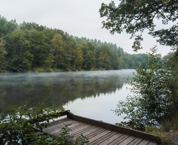 Fennes Fishing Lakes Case Study Post Preview