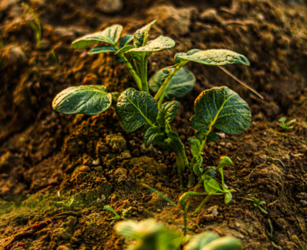 Funding Growth in Today’s Rural Economy Insight Post Preview