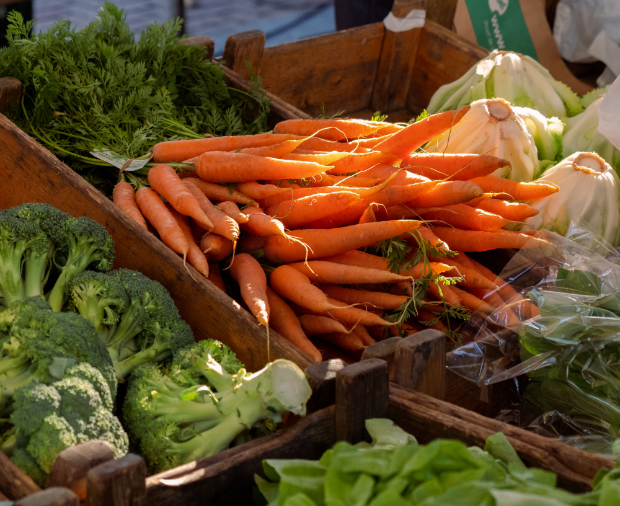Hollow Trees Farm Shop Case Study Post Preview