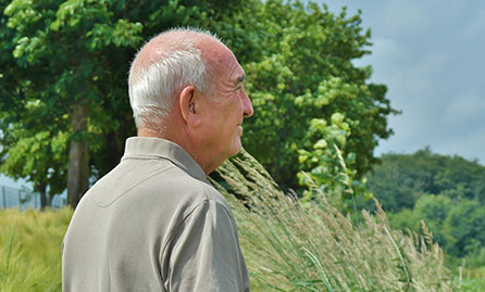 Older man looking out onto farm land