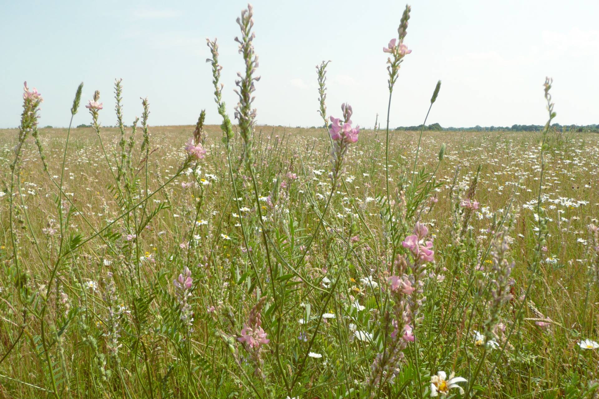 Environment Water and Land Management