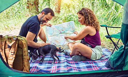 Couple seated with dog looking at a map in the rural countryside