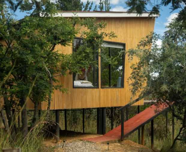 From Arable Farming to Treehouse Escapes Case Study Post Preview