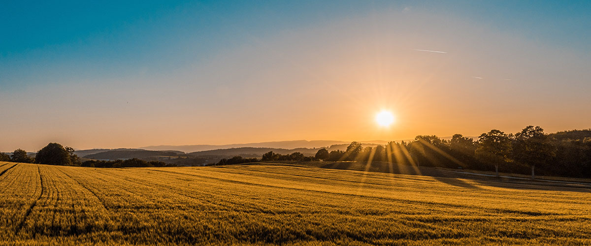 Sun setting over the rural landscape